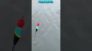 Рыбалка на Поплавок 24🐟 Рыбак Подпишется!😍