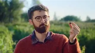 Ribena Blackcurrant TV Ad