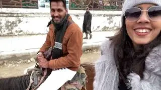 SWITZERLAND IN INDIA|DAY 2 KASHMIR|NEHA JAIN