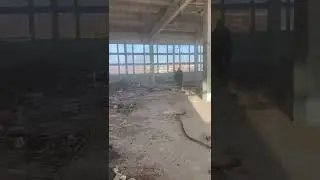 Горіть у пеклі «z»