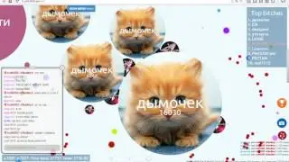 PlAY PETRI DISH MИНИ ЗАХВАТ№1
