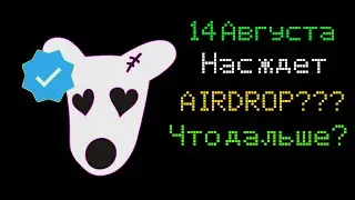14/08/24 - дата аирдропа DOGS да/нет? Три простых сценария извлечения прибыли из полученных токенов.