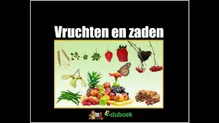 Vruchten en zaden, inkijkexemplaar groep 7 en 8