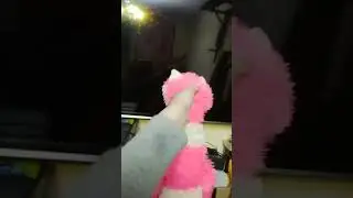 Аказывается что кошечка стала долбоёбом