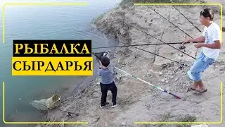 Рыбалка на Сырдарье. Активный клёв.