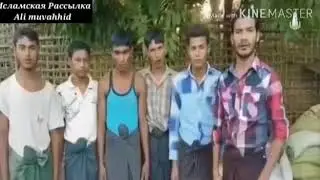 Обращение к Чеченцам и Ингушам Мусульманам из Бирмы