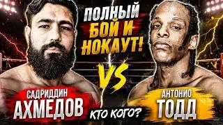 УНИЧТОЖИЛ! Обзор боя Садриддин Ахмедов - Антонио Тодд