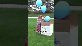 Brother where art thou? #genderreveal #siblings #brother #pregnant #shorts