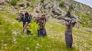 IRAN nomadic life | daily routine village life of Iran | Nomadic lifestyle of Iran