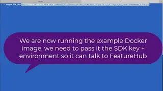 FeatureHub Starting Small with example demo