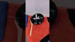 #cat