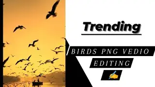 Birds png video editing kese kare❤️🕊️|| How to edit Birds png video editing| || #trending
