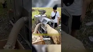 Эта машина стрижёт овцу за СЕКУНДЫ🤯⚙️🐏