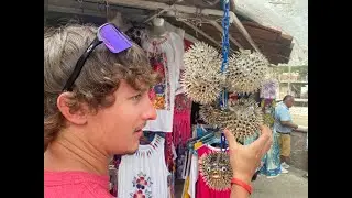 Puerto Vallarta 2022   HD 1080p