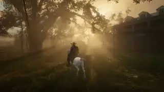 Red Dead Redemption 2 Best Ultra Max Graphics Settings RTX 3090ti