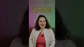 КОСТНЫЙ МОЗГ