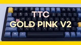 A Soft Linear Switch with Fluorescent Colors│Typing ASMR│TTC Gold Pink V2 Switch