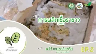 รายการ แม่โจ้เกษตรอินทรีย์ | ตอน การผลิตเชื้อราขาว ( IMO1 )