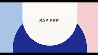 What is SAP ERP?