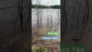 Река Уфа, 20 апреля 2024, в 1 км от города