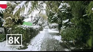 Would You Live in the Suburbs of Poznań, Poland? Silent Walk Poland