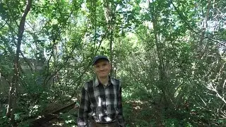 Пародия на блогеров.
