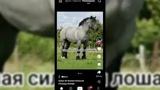 рабочий тик ток мод 2024! новый тик ток мод! как выложить видео в тик токе