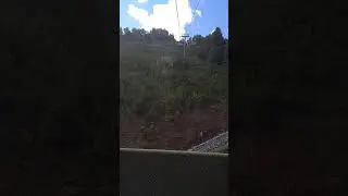 Роза хутор Горки город