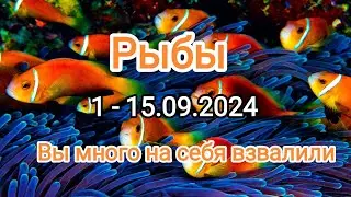 РЫБЫ✨ 1 -