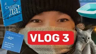 VLOG 3: ПРО КОТА, КНИГИ И НОВОГОДНИЕ ПРАЗДНИКИ