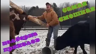 ВИДЕО РЖАКА С УДИВИТЕЛЬНЫМИ ЖИВОТНЫМИ 2021 (ПРИКОЛЫ)