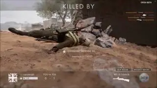 Bf1 beta