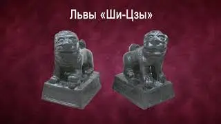Львы "Ши-Цзы". Жемчужины Омского государственного историко-краеведческого музея.