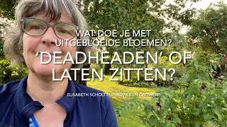 DEADHEADEN OF LATEN ZITTEN? Wat doe je met uitgebloeide bloemen?