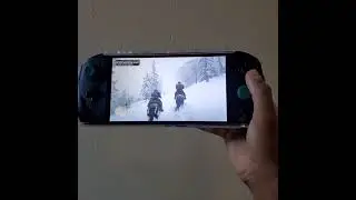 Onexfly Red Dead Redemption 2