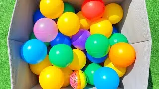 Fun Game with Numbers | Color game video with colorful balls in a box