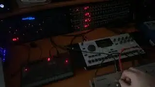 Happy 303 day