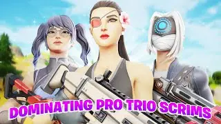 How We Practice For Trio FNCS in Season 4 (Fortnite Highlights)