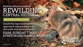 Biolinks Alliance presents 'Rewilding Central Victoria' - an expert panel event