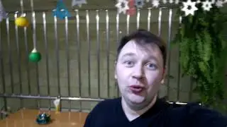 Санаторий Обуховский. Бар