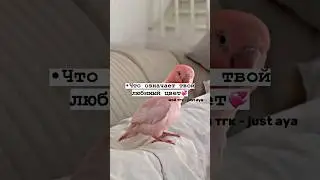 мой тгк - just aya(ссылка в закреплённом комментарии)#shorts#tiktok#рекомендации #тренды#2023#врек