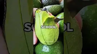 A Man is Trying to Wake Her Son Up For School