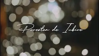 Povestea de Iubire - Deea | Tineri Betania (cover Casting Crowns)