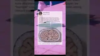 İnstagram - Twitter video #71 