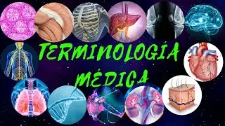 💊💊  TERMINOLOGÍA MÉDICA  Prefijos y Sufijos y Raíces