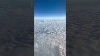 9 мая 2024 г.
