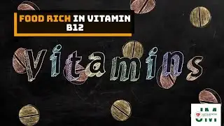 B12-rich Foods: Sources & Supplements
