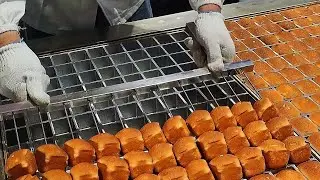 Выпечка бисквита на выставке в Шанхае 🇨🇳