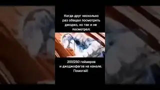 джоджо мем #23 