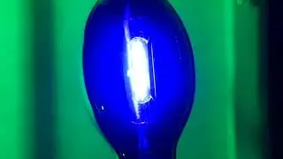 Omnilux Black light blue (125W)